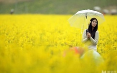 强公把我次次高潮HD